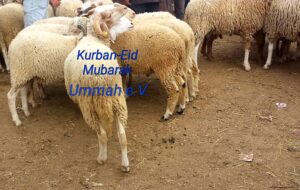 Kurban-Eid 2018 Abschlussbericht